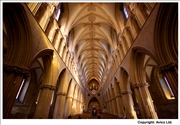 Wells Cathedral roof